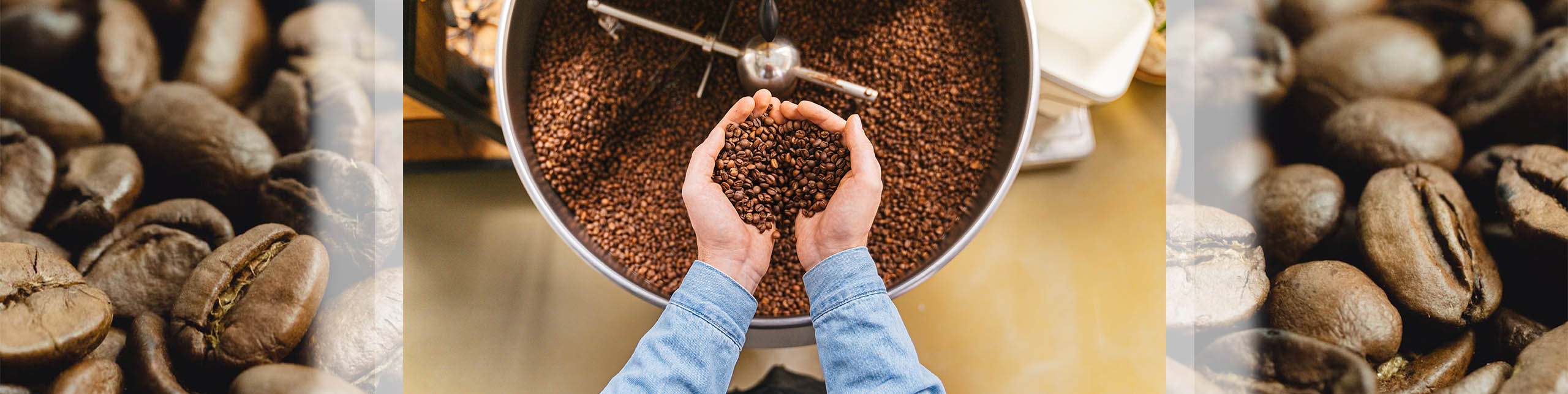 negozio capsule caffe montesilvano